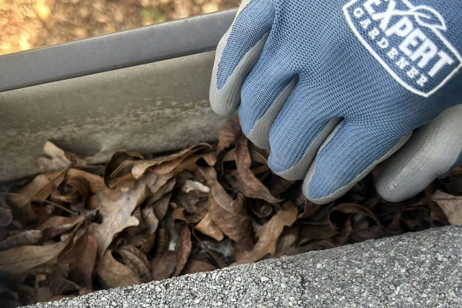 Gutter Cleaning Double Oak TX