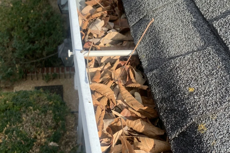 Gutter Cleaning Double Oak TX