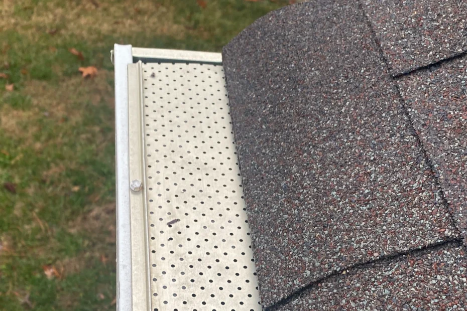 Gutter Cleaning Double Oak TX