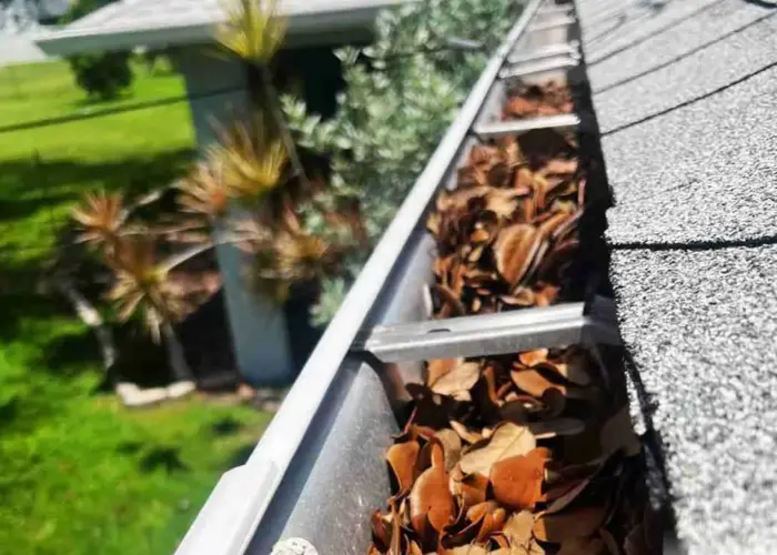 Gutter Cleaning Double Oak TX home page